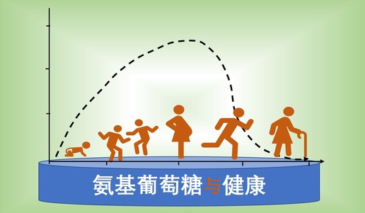 哪些人不能服用氨糖？这几类人群要多关注！