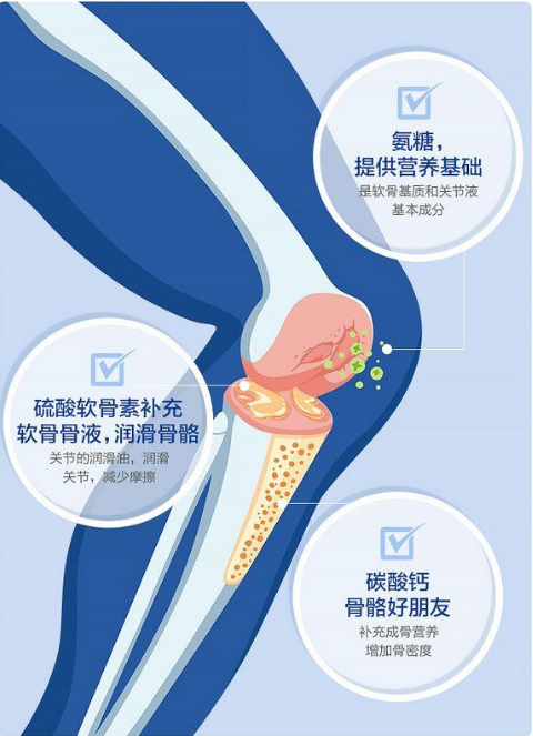 氨糖最好的品牌排行榜？品质最好只有它！