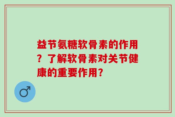 益节氨糖软骨素的作用？了解软骨素对关节健康的重要作用？
