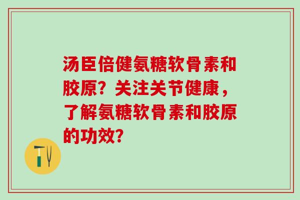 汤臣倍健氨糖软骨素和胶原？关注关节健康，了解氨糖软骨素和胶原的功效？
