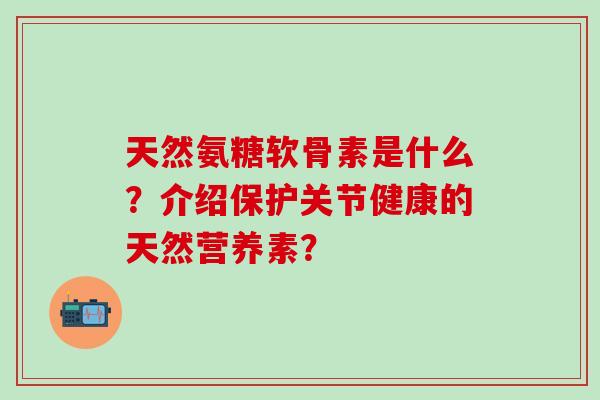 天然氨糖软骨素是什么？介绍保护关节健康的天然营养素？