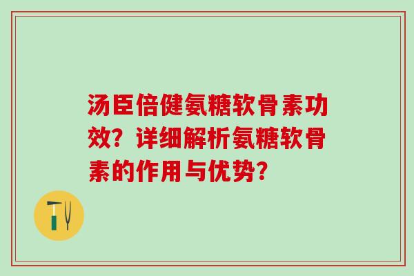 汤臣倍健氨糖软骨素功效？详细解析氨糖软骨素的作用与优势？