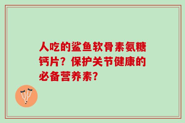 人吃的鲨鱼软骨素氨糖钙片？保护关节健康的必备营养素？