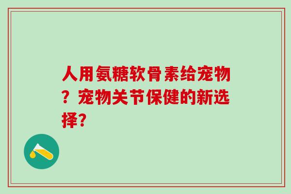 人用氨糖软骨素给宠物？宠物关节保健的新选择？