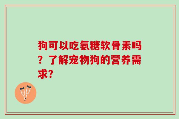 狗可以吃氨糖软骨素吗？了解宠物狗的营养需求？