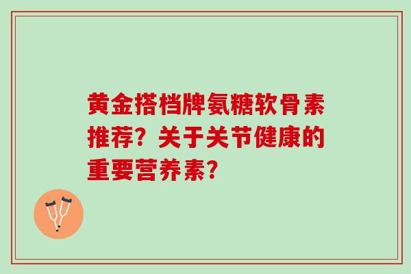 黄金搭档牌氨糖软骨素推荐？关于关节健康的重要营养素？