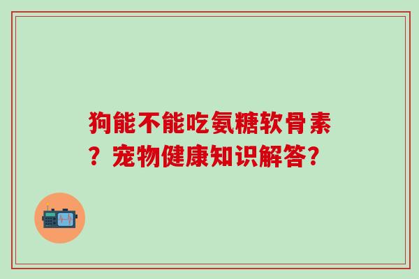 狗能不能吃氨糖软骨素？宠物健康知识解答？