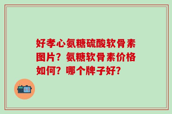 好孝心氨糖硫酸软骨素图片?氨糖软骨素价格如何?哪个牌子好? 好孝心氨糖硫酸软骨素图片?氨糖软骨素价格如何?哪个牌子好?