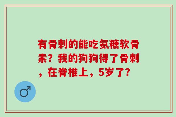 有的能吃氨糖软骨素？我的狗狗得了，在脊椎上，5岁了？