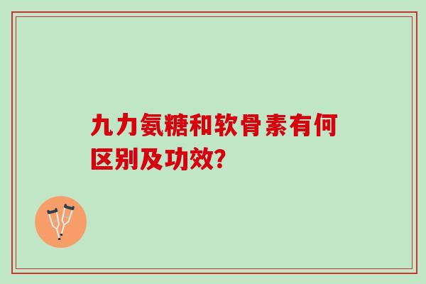 九力氨糖和软骨素有何区别及功效？