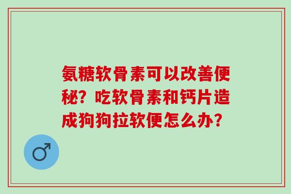 氨糖软骨素可以改善？吃软骨素和钙片造成狗狗拉软便怎么办？