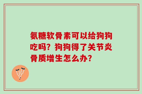 氨糖软骨素可以给狗狗吃吗？狗狗得了怎么办？