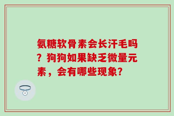 氨糖软骨素会长汗毛吗？狗狗如果缺乏微量元素，会有哪些现象？