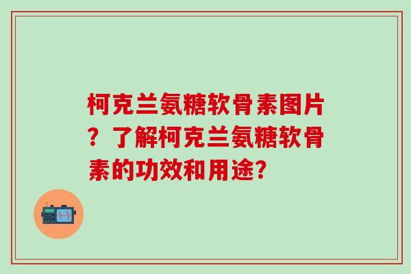 柯克兰氨糖软骨素图片？了解柯克兰氨糖软骨素的功效和用途？