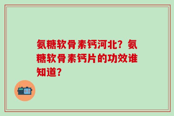 氨糖软骨素钙河北？氨糖软骨素钙片的功效谁知道？