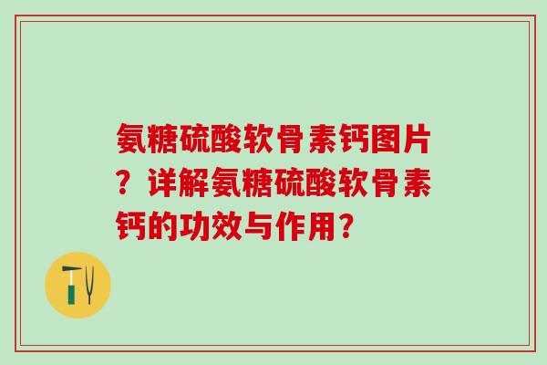 氨糖硫酸软骨素钙图片？详解氨糖硫酸软骨素钙的功效与作用？