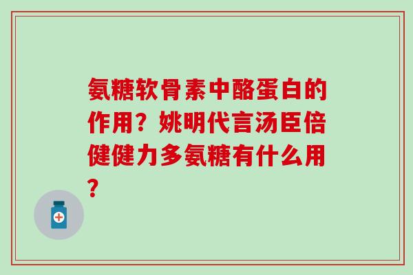 氨糖软骨素中酪蛋白的作用？姚明代言汤臣倍健健力多氨糖有什么用？