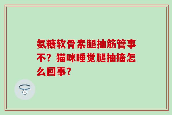 氨糖软骨素腿抽筋管事不？猫咪睡觉腿抽搐怎么回事？