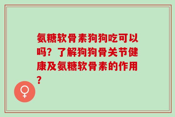 氨糖软骨素狗狗吃可以吗？了解狗狗骨关节健康及氨糖软骨素的作用？