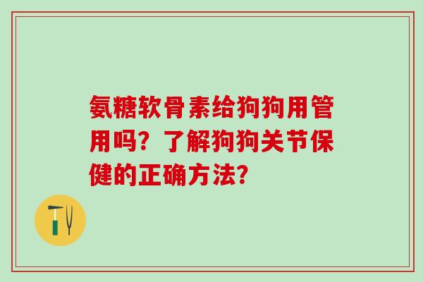 氨糖软骨素给狗狗用管用吗？了解狗狗关节保健的正确方法？