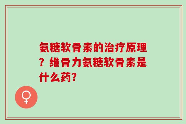 氨糖软骨素的原理？维骨力氨糖软骨素是什么药？