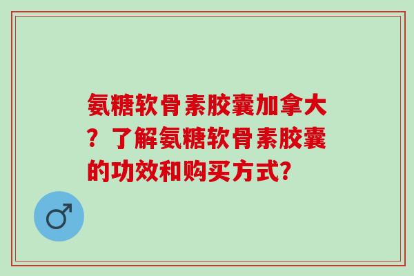 氨糖软骨素胶囊加拿大？了解氨糖软骨素胶囊的功效和购买方式？