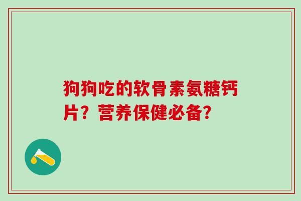狗狗吃的软骨素氨糖钙片？营养保健必备？