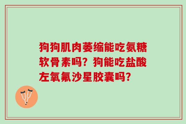 狗狗肌肉萎缩能吃氨糖软骨素吗？狗能吃盐酸左氧氟沙星胶囊吗？