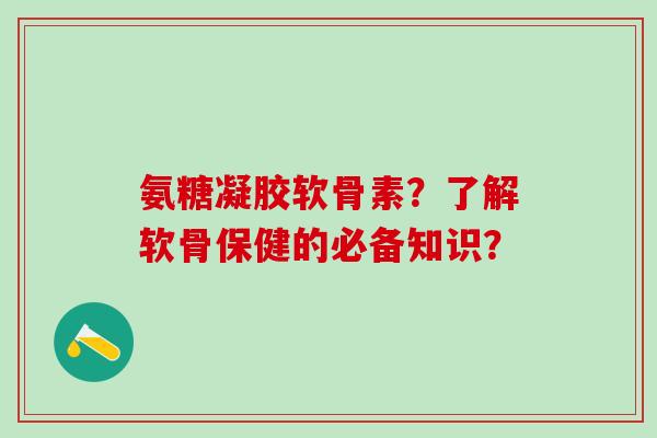 氨糖凝胶软骨素？了解软骨保健的必备知识？