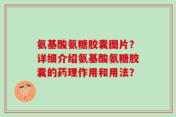氨基酸氨糖胶囊图片？详细介绍氨基酸氨糖胶囊的药理作用和用法？