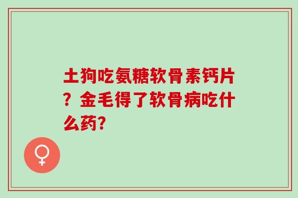 土狗吃氨糖软骨素钙片？金毛得了软骨病吃什么药？