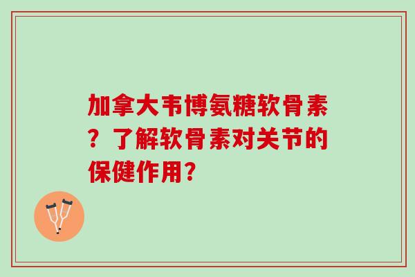 加拿大韦博氨糖软骨素？了解软骨素对关节的保健作用？