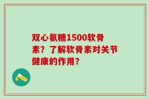 双心氨糖1500软骨素？了解软骨素对关节健康的作用？
