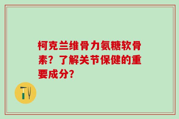 柯克兰维骨力氨糖软骨素？了解关节保健的重要成分？