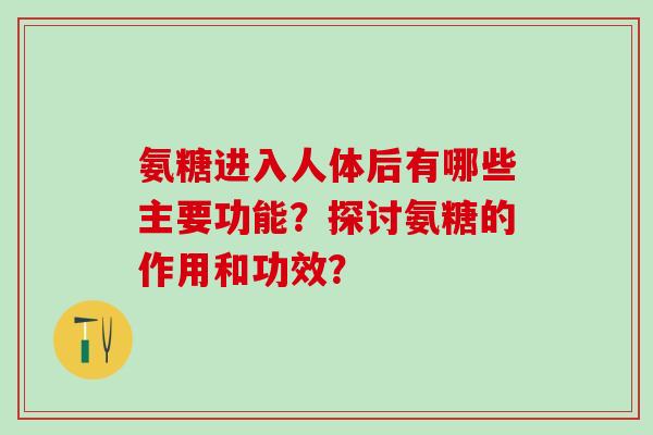 氨糖进入人体后有哪些主要功能？探讨氨糖的作用和功效？
