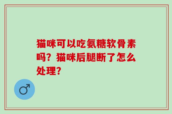 猫咪可以吃氨糖软骨素吗？猫咪后腿断了怎么处理？