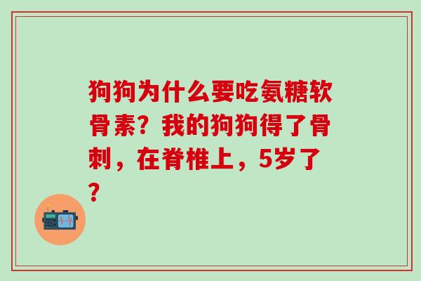 狗狗为什么要吃氨糖软骨素？我的狗狗得了，在脊椎上，5岁了？
