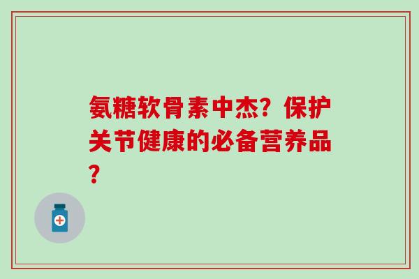 氨糖软骨素中杰？保护关节健康的必备营养品？