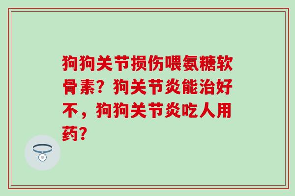 狗狗关节损伤喂氨糖软骨素？狗关节炎能治好不，狗狗关节炎吃人用药？