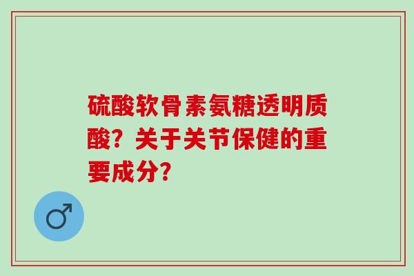 硫酸软骨素氨糖透明质酸？关于关节保健的重要成分？