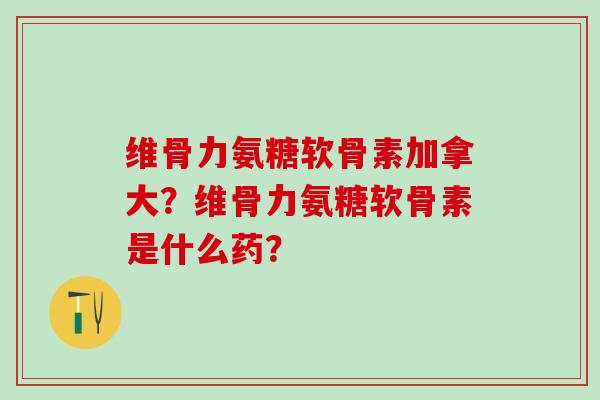 维骨力氨糖软骨素加拿大？维骨力氨糖软骨素是什么药？