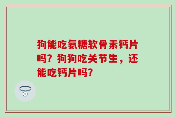 狗能吃氨糖软骨素钙片吗？狗狗吃关节生，还能吃钙片吗？