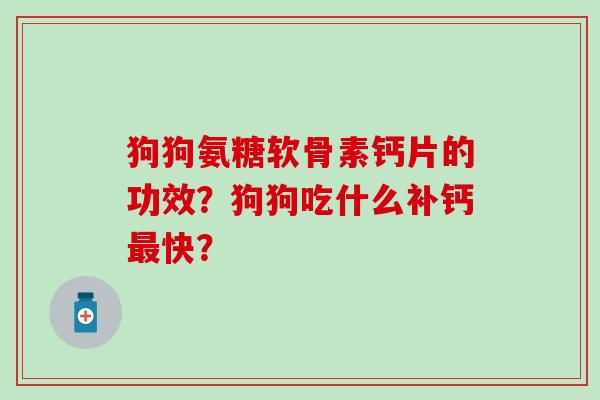 狗狗氨糖软骨素钙片的功效？狗狗吃什么补钙最快？