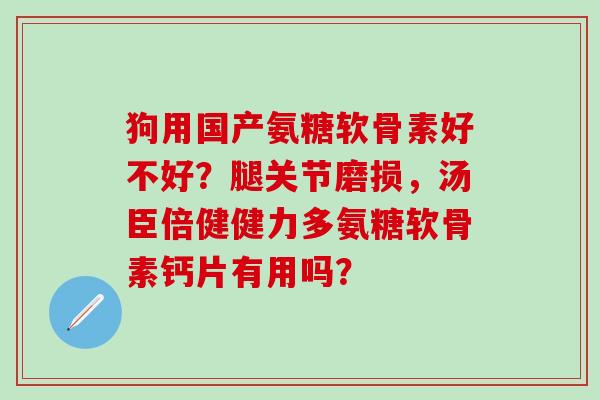狗用国产氨糖软骨素好不好？腿关节磨损，汤臣倍健健力多氨糖软骨素钙片有用吗？