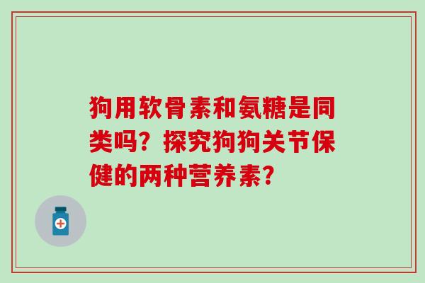 狗用软骨素和氨糖是同类吗？探究狗狗关节保健的两种营养素？