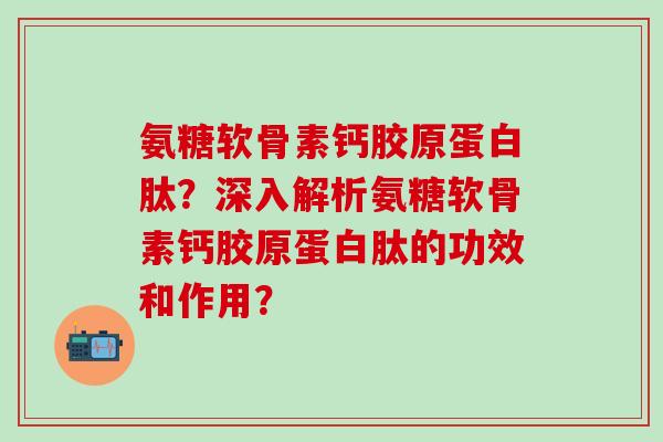 氨糖软骨素钙胶原蛋白肽？深入解析氨糖软骨素钙胶原蛋白肽的功效和作用？