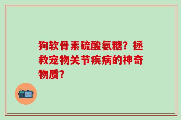 狗软骨素硫酸氨糖？拯救宠物关节的神奇物质？