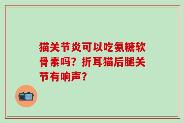 猫可以吃氨糖软骨素吗？折耳猫后腿关节有响声？