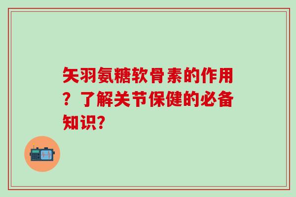 矢羽氨糖软骨素的作用？了解关节保健的必备知识？