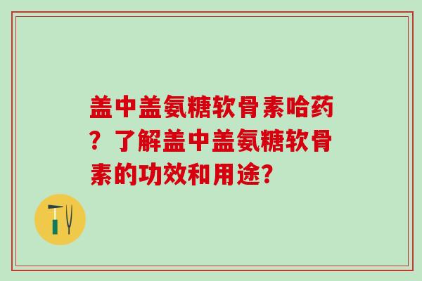 盖中盖氨糖软骨素哈药？了解盖中盖氨糖软骨素的功效和用途？